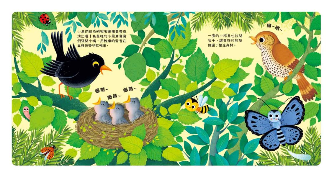 叮叮咚咚音樂會-啾啾樂團